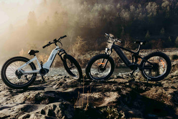 Fatbikes vs. Mountainbikes | Himiway