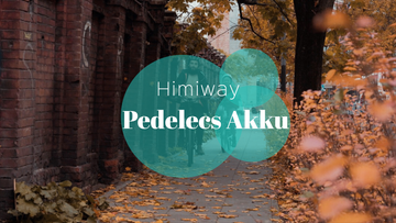 Himiway City Pedelecs Akku