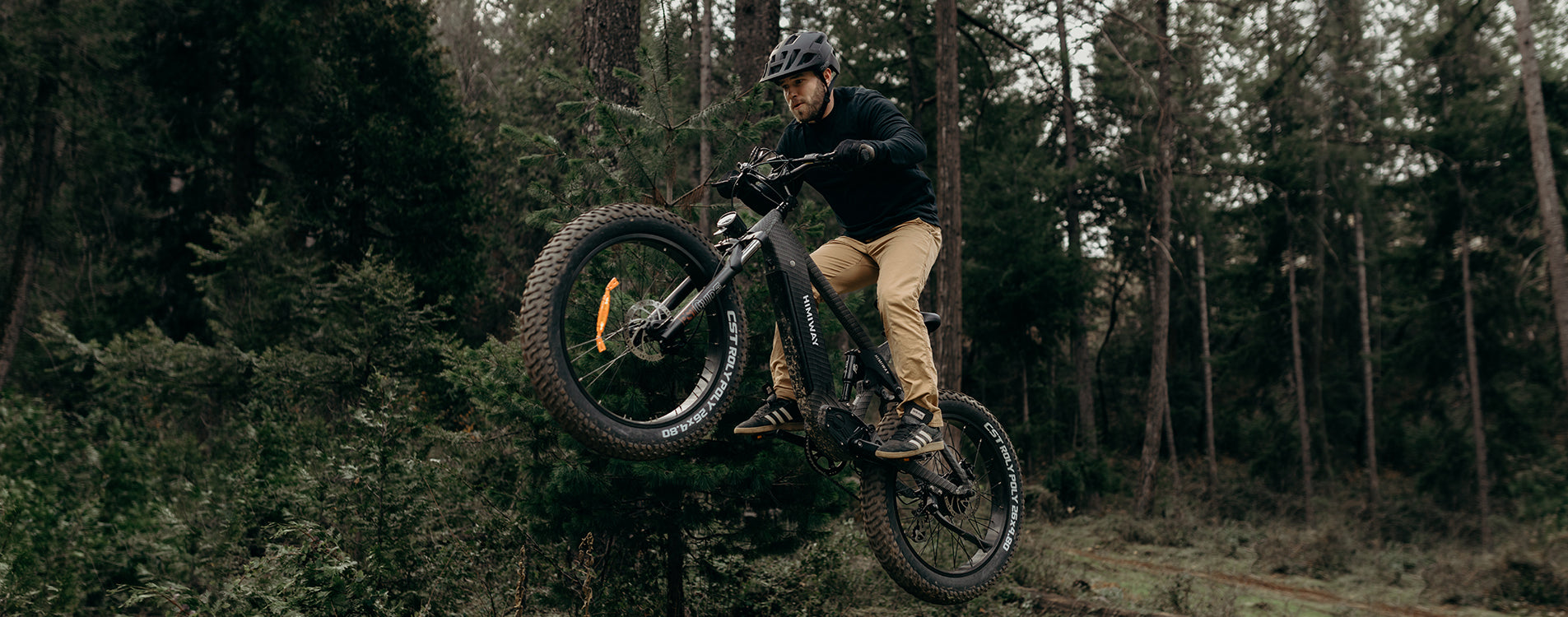 Fat Tire/Mountain eBike