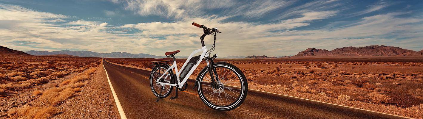 Ihr perfektes E-Fatbike finden: Der ehrliche Kauf-Ratgeber 2025