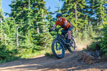 Hydraulische vs. Mechanische Scheibenbremsen für E-Bikes