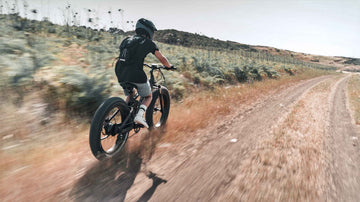 Fitness-Tracking mit einem E-Bike | Himiway