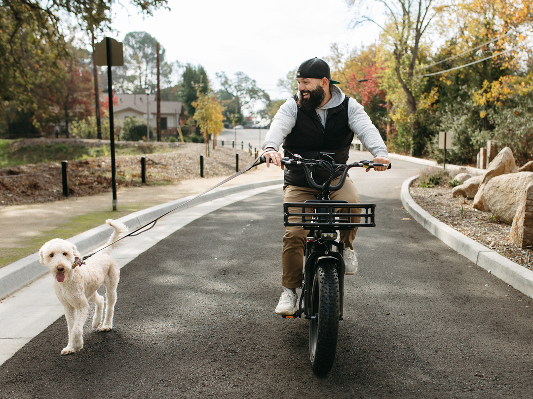 Himiway Lasten E Bike