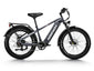 Himiway D5 Zebra Step-Over Fatbike in Grau – vielseitiges elektrisches Fatbike für jedes Gelände