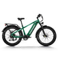 Himiway D5 Zebra Step-Over Fatbike in Dunkelgrün– vielseitiges elektrisches Fatbike für jedes Gelände