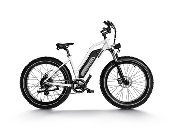 Himiway D3 (Cruiser) | All Terrain Elektrofahrrad