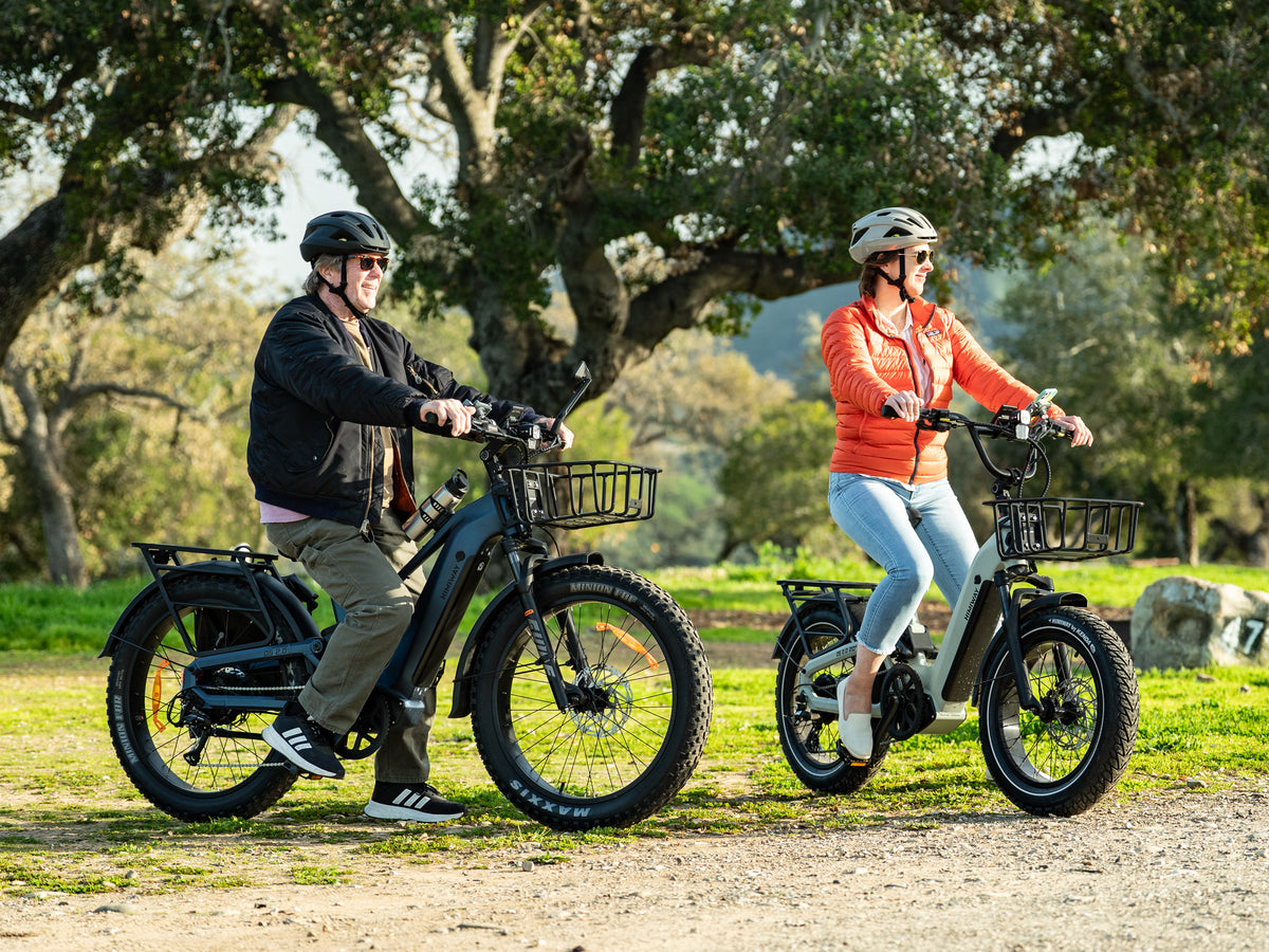 Himiway D5 2.0 damen e bike