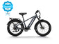 Himiway D5 Zebra Step-Over Fatbike in Grau – vielseitiges elektrisches Fatbike für jedes Gelände